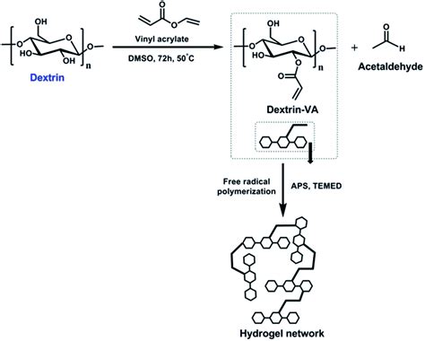 Dextran -  En revolutionerande biopolymer för avancerade läkemedelstransport och vävnadsregenerering!