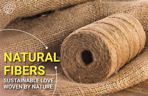  Jute – Ett Hållbart och Versatile Naturfiber för Framtiden!